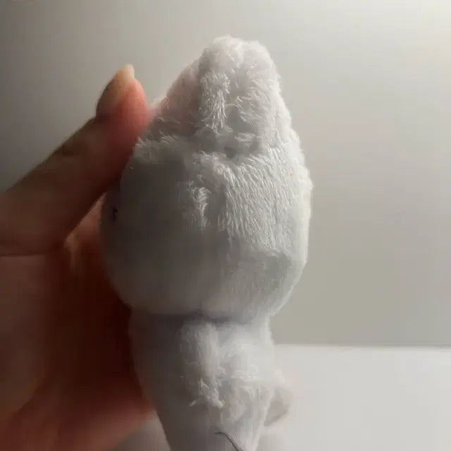 더보이즈 뉴 인형 차니냥