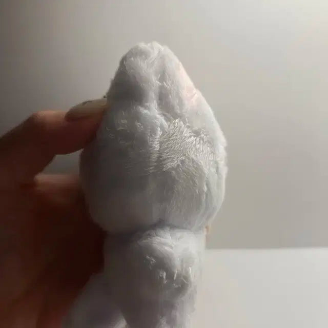 더보이즈 뉴 인형 차니냥