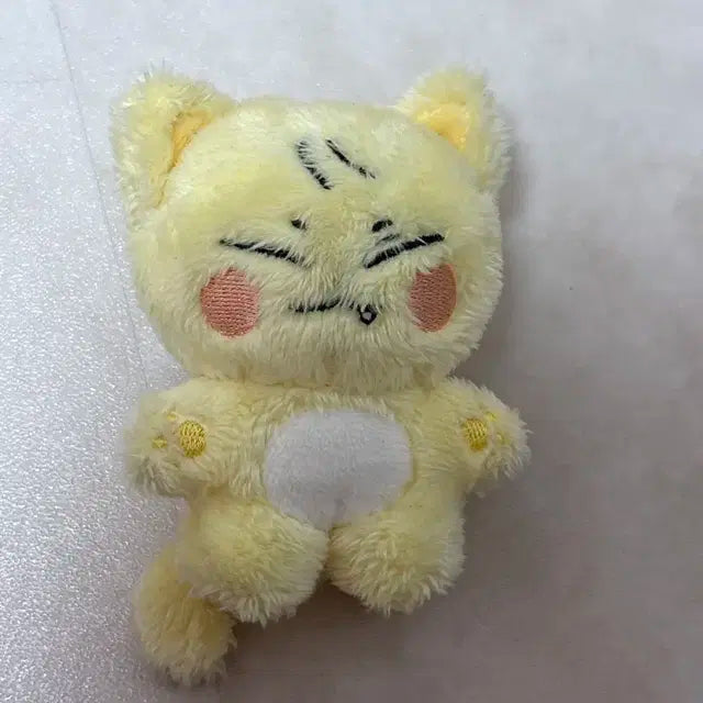 광냥이 판매