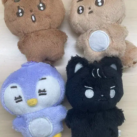 투모로우바이투게더 인형 폭덤 뽀송밤 뽀송텬 말랑닝 최까미 양도