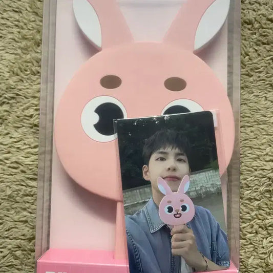 데니멀즈 거울 팝니다