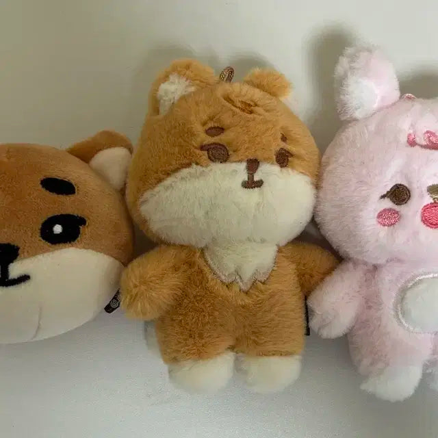 일괄) 24쁘띠멀즈 쁘멀 케, 필 + 스트레스볼 케