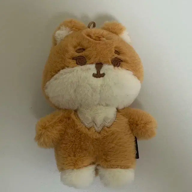 일괄) 24쁘띠멀즈 쁘멀 케, 필 + 스트레스볼 케