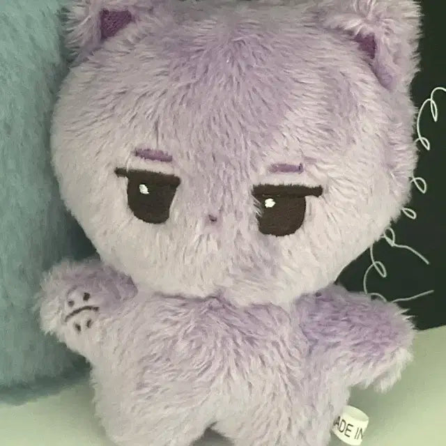 훙냥이 10cm