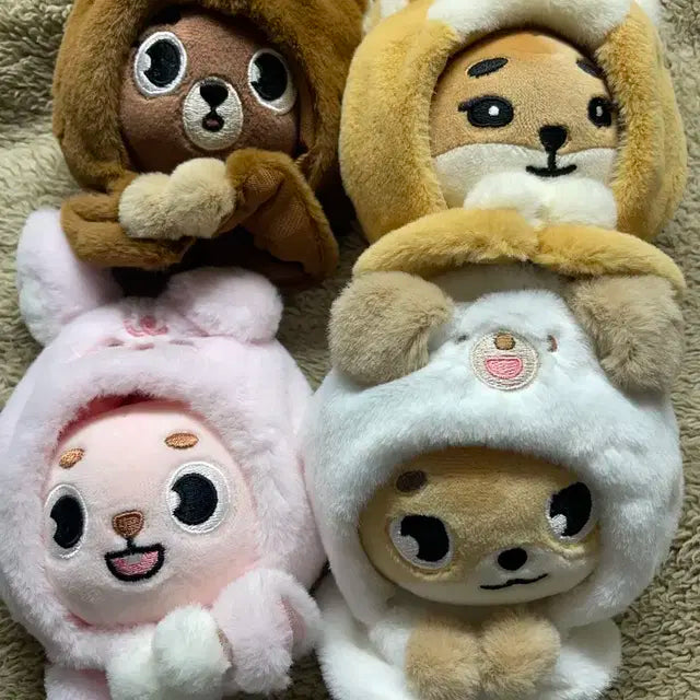 데니멀즈 양도합니다