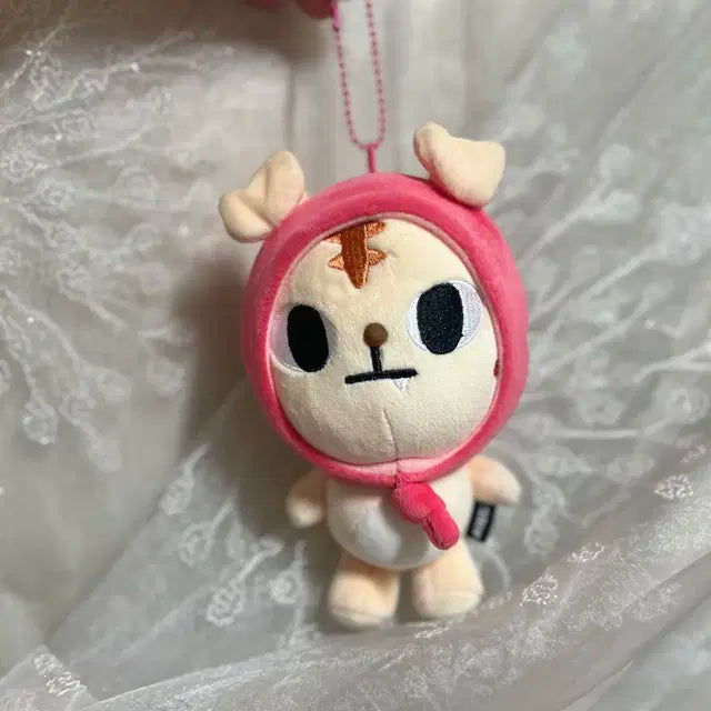 크래비티 정모 크크루 랑모