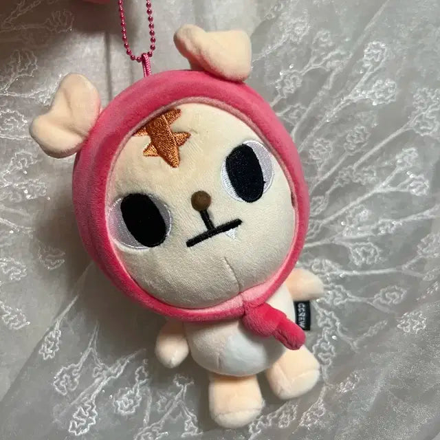 크래비티 정모 크크루 랑모