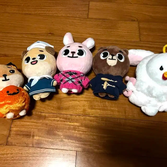 데이식스 20 데니멀즈 방쩨케필돈 일괄 양도