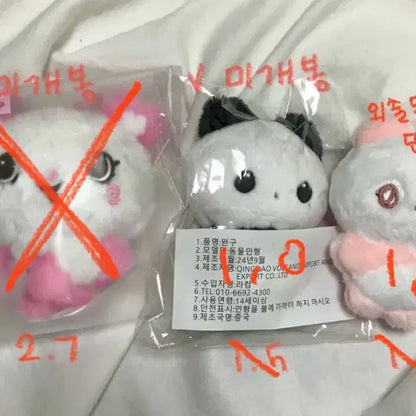 엔시티 위시 엔시티 드림 곰효기 야웅쥔 모모쿠 사쿠짱