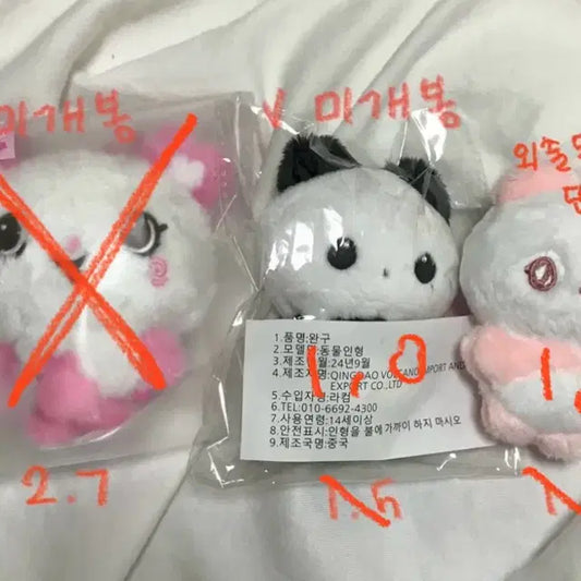 엔시티 위시 엔시티 드림 곰효기 야웅쥔 모모쿠 사쿠짱
