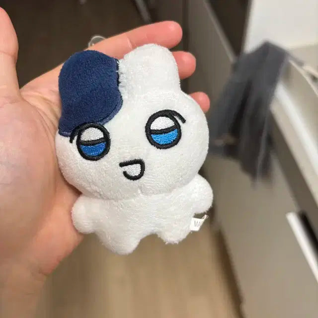 플레이브 짱예준