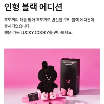 BT21 쿠키 BTS 정국 인형 블랙 한정판 LUCKY COOKY