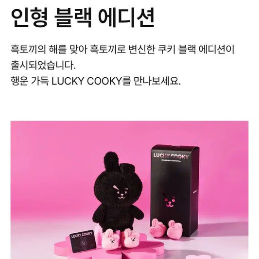 BT21 쿠키 BTS 정국 인형 블랙 한정판 LUCKY COOKY