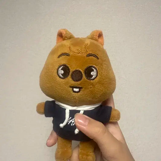 한쿼카 단순 개봉 매직스쿨