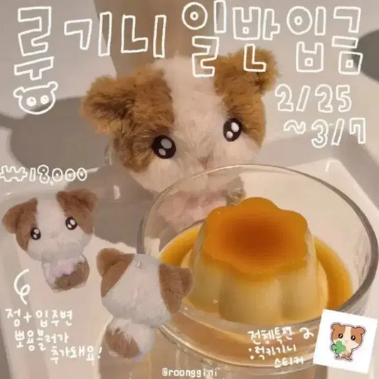 미개봉)앤팀 하루아 인형 룽기니 판매 양도