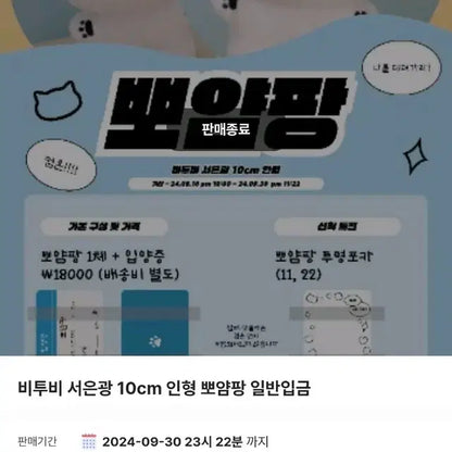 비투비 서은광 인형 뽀얌팡 미개봉