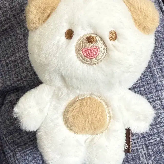 쁘띠멀즈 돈