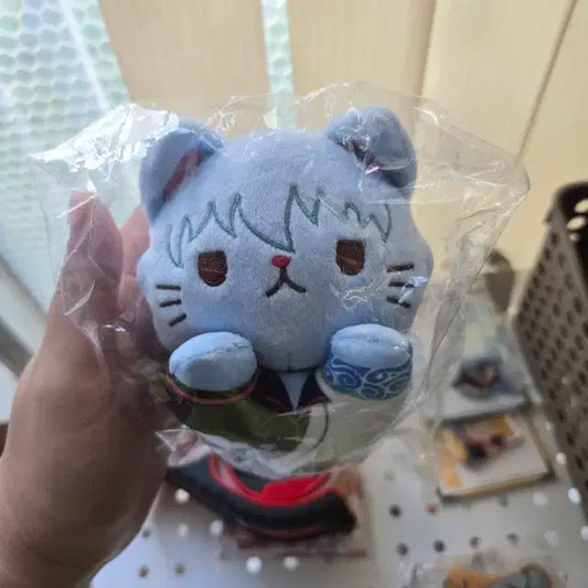 긴토키 네코누이