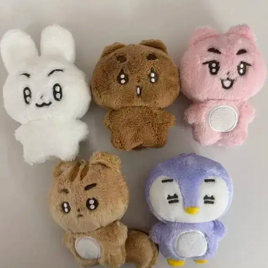 뽀바투 판매 /. . 투바투 투모로우바이투게더 무료나눔 비공굿 공굿 앨범