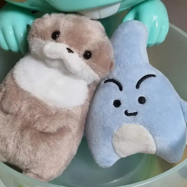 온앤오프 이션 효진) 샤뽀 효달이 양도