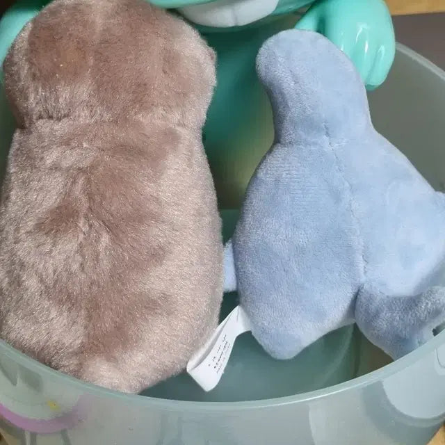 온앤오프 이션 효진) 샤뽀 효달이 양도