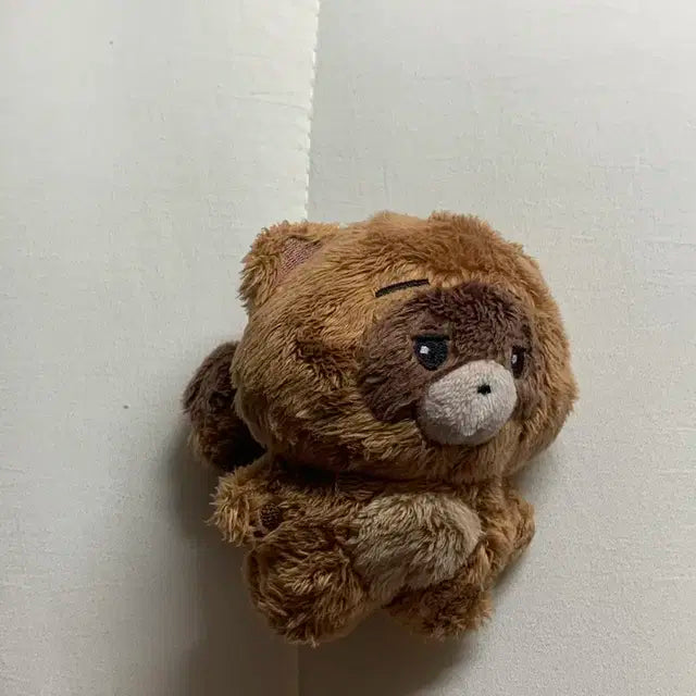 더보이즈 선우 인형