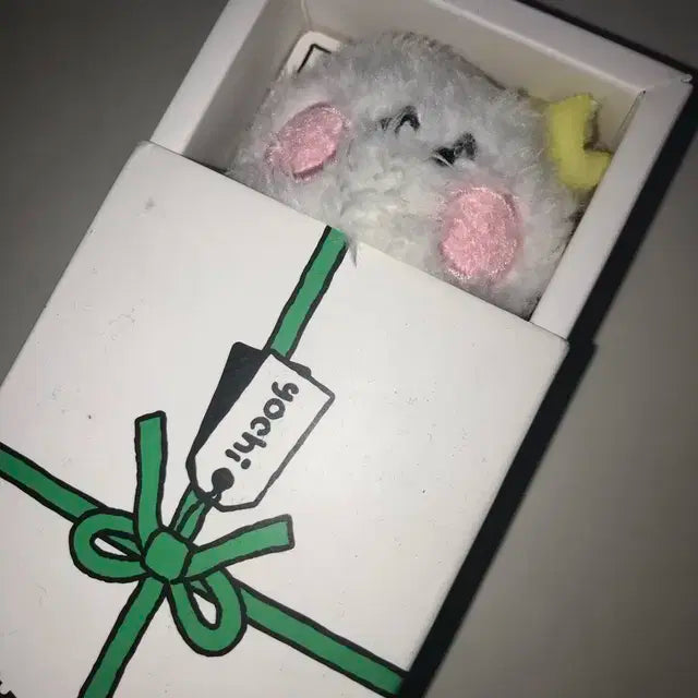 트레저 요시 인형 천사횻치, 요치 양도