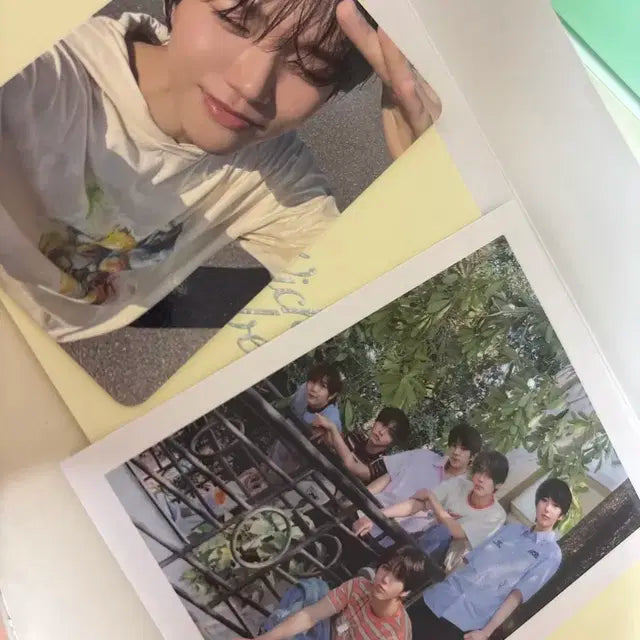 엔시티 위시 팝츄 nct wish
