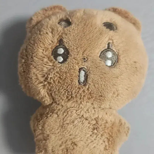 뽀송밤