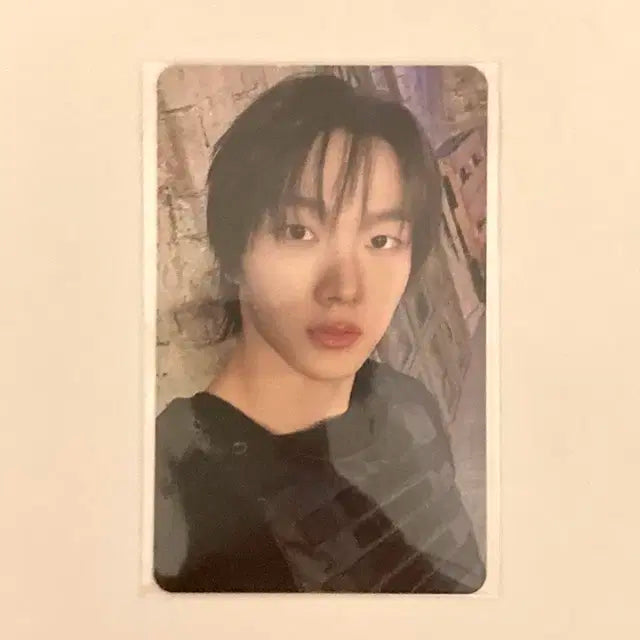 보이넥스트도어 보넥도 성호 포카