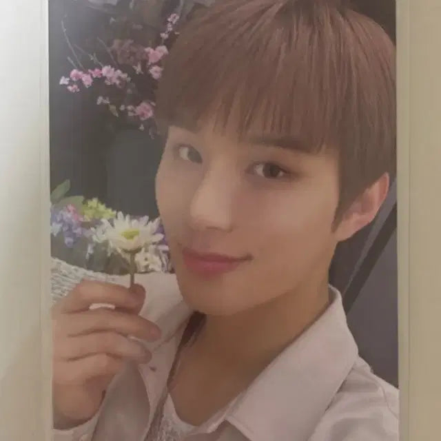 엔시티 도재정 정우 퍼퓸 디지팩버전