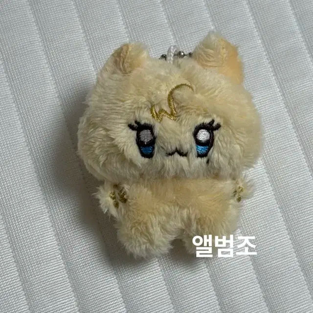 똥글이브 5cm 노아