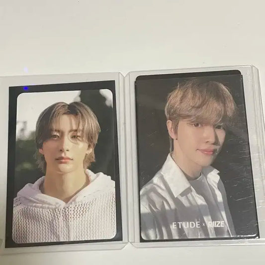 앤톤 성찬 포카 일괄