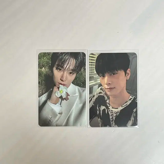 더보이즈 주연 넥타 포카