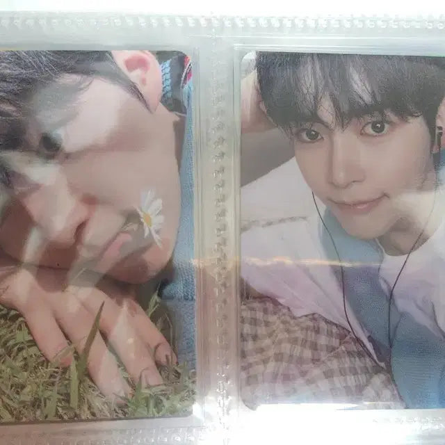 제베원 2기 팬클럽 키트 포카 판매