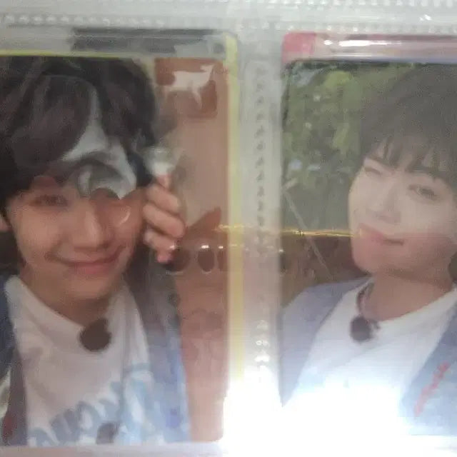 제베원 2기 팬클럽 키트 포카 판매