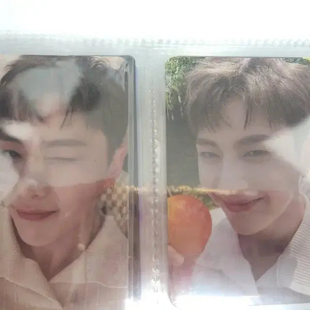 제베원 2기 팬클럽 키트 포카 판매