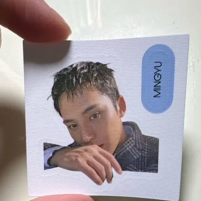 세븐틴 민규포카,띠부실