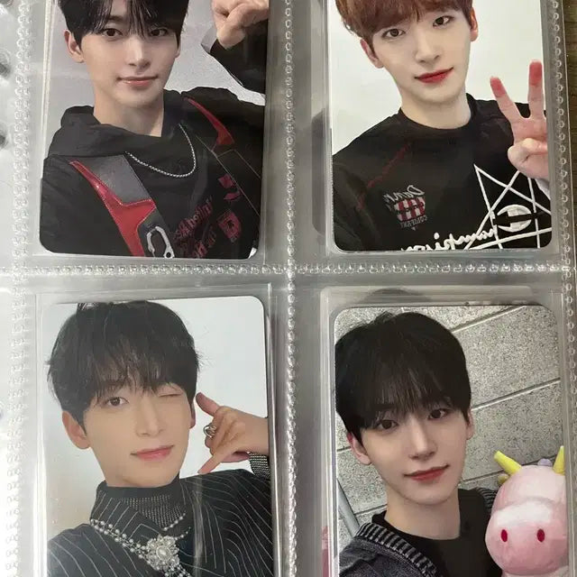 크래비티 정모 포카