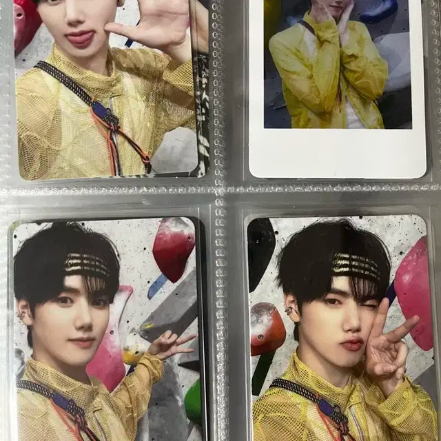 크래비티 민희 포카