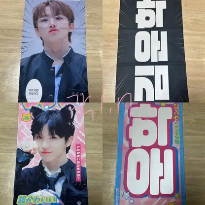 보넥도 보이넥스트도어 boynextdoor 포카 슬로건 인형 양도 판매