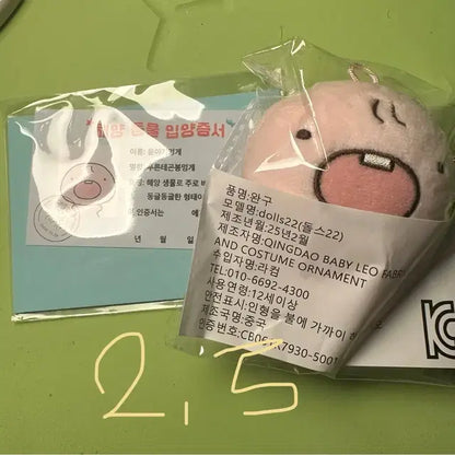 보넥도 보이넥스트도어 boynextdoor 포카 슬로건 인형 양도 판매