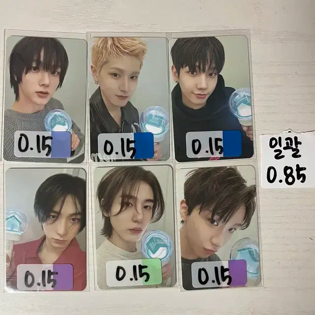 보이넥스트도어 포카 양도