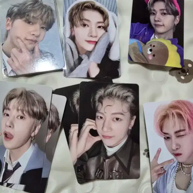 급처 매튜 제베원 포카 양도