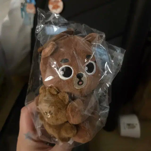 데이식스 데니멀즈 나안아 마그넷 방
