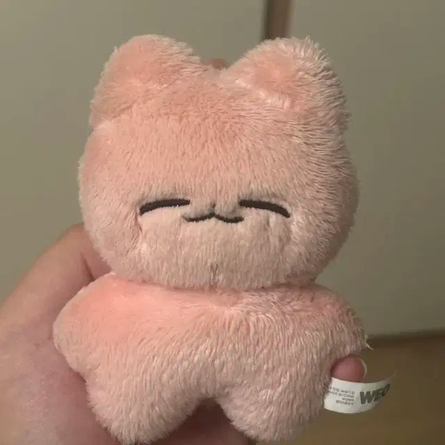 nct 재현 인형 잰냥이