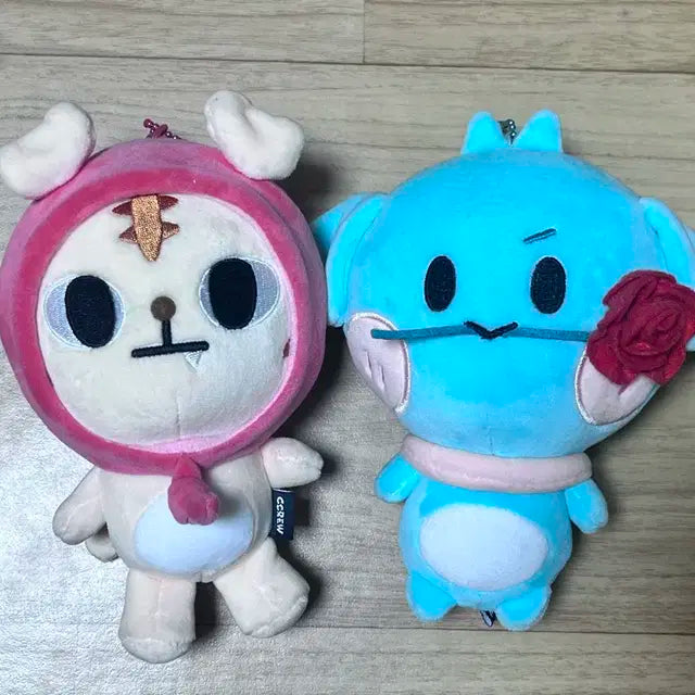 크래비티 정모 태영 랑모 용티 양도