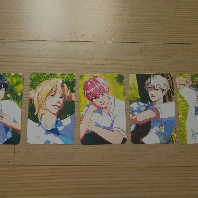 플레이브 비공굿 포카