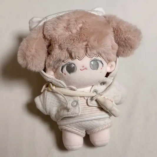 [급처] BTS 방탄 뷔 태형 20cm 인형 옷장 양도합니다