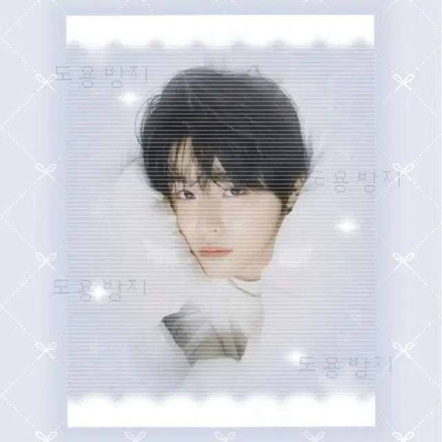 판스 도안 커미션